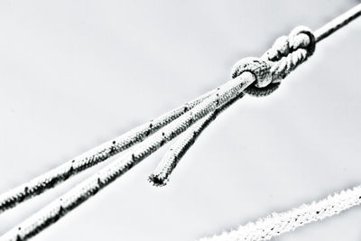 Close-up of rope against white background