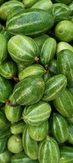 Full frame shot of pointed gourd 