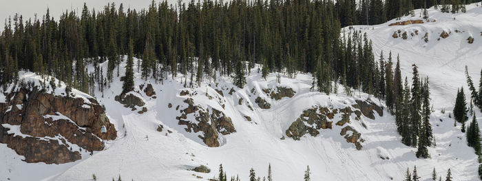 snow