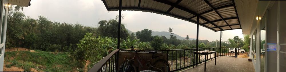 Panoramic view of trees against sky