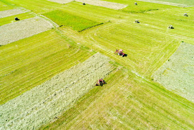 High angle view of people on field