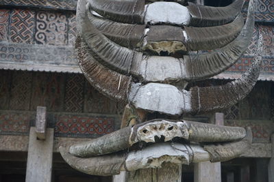 Low angle view of statue against building