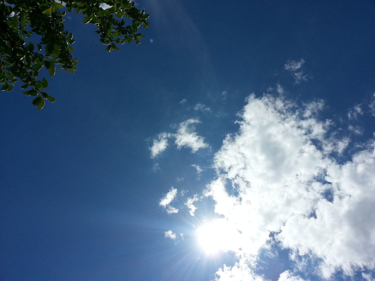 sun, sunbeam, low angle view, sunlight, sky, lens flare, blue, beauty in nature, tranquility, nature, tree, scenics, bright, sunny, tranquil scene, cloud - sky, idyllic, day, outdoors, cloud