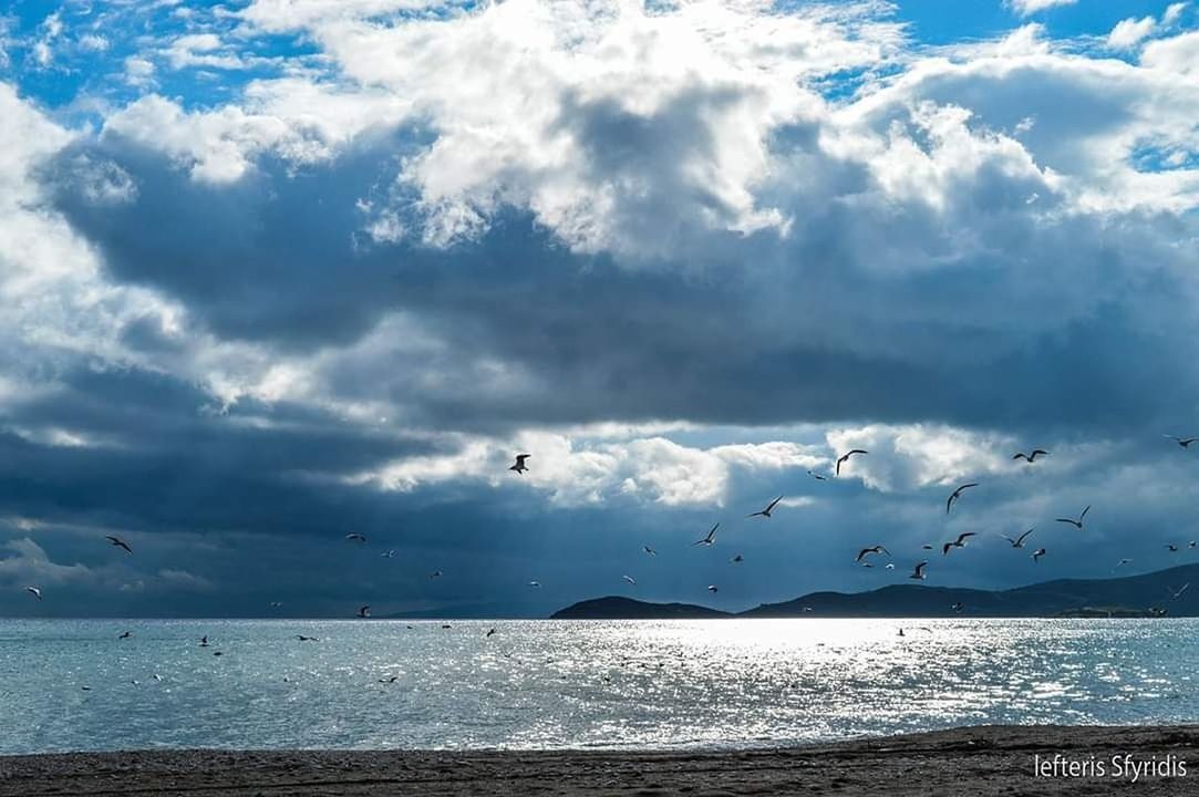 cloud - sky, sky, water, sea, beauty in nature, scenics - nature, horizon over water, horizon, tranquil scene, tranquility, bird, nature, animal, vertebrate, animal themes, day, no people, animals in the wild, animal wildlife, outdoors, flock of birds