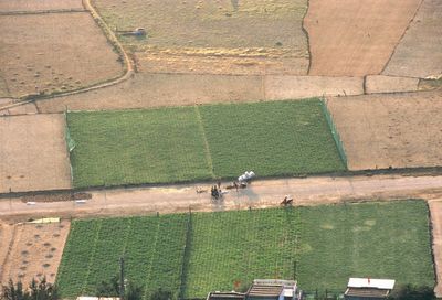 High angle view of men walking outdoors