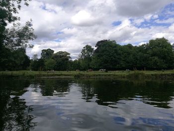 Scenic view of lake by trees against sky