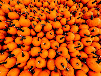 Full frame shot of orange fruits for sale at market stall