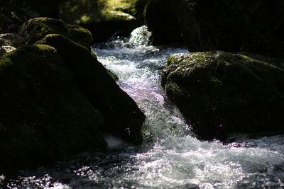 Scenic view of waterfall