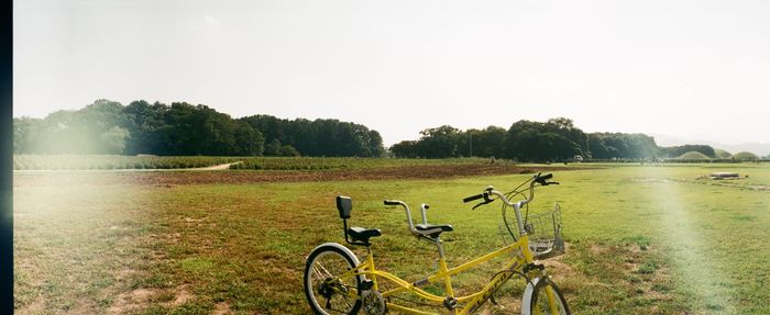 Cars parked in park