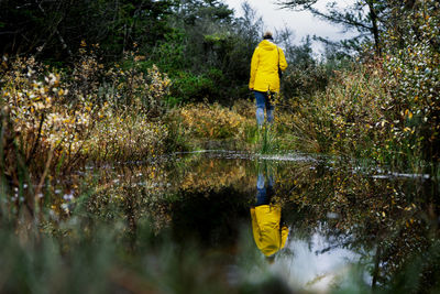 Rear view of man standing by plants in lake
