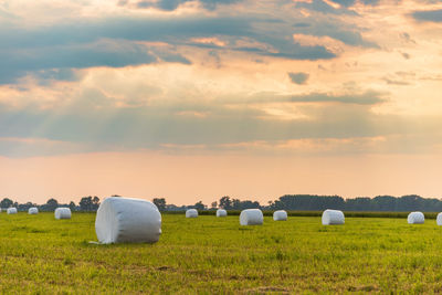 Hay bales on field against sky during sunset