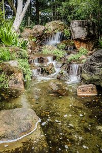 Stream flowing through rocks in forest