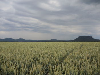 Scenic view of field against cloudy sky