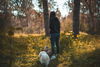 Rear view of woman with dog walking in forest