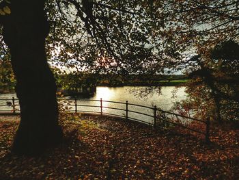 Silhouette trees by lake against sky during sunset