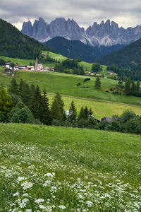 Scenic view of field and mountains