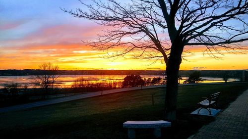 Silhouette bare tree by lake against sky during sunset