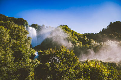 Scenic view of waterfall in forest