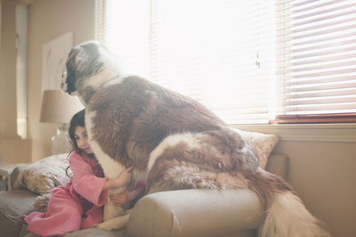 Girl embracing saint bernard on sofa at home