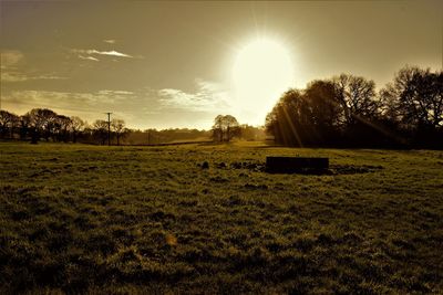 Scenic view of agricultural field against sky during sunset