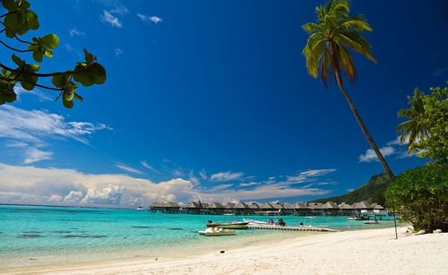 Scenic view of calm beach