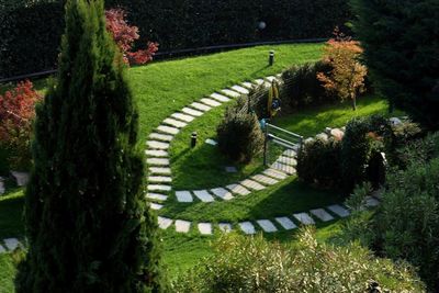 High angle view of trees in garden