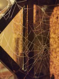 spider web