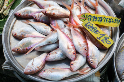 High angle view of fish for sale in market