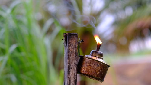 Close-up of fire on wood