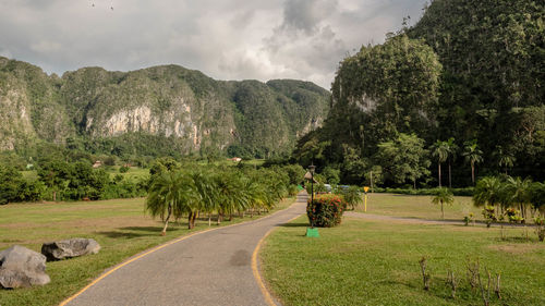 Scenic view of green landscape against sky