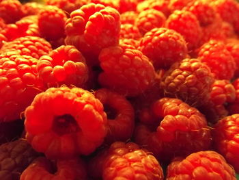 Full frame shot of strawberries