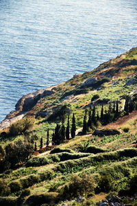 Scenic view of sea