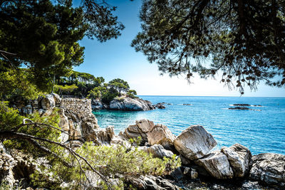 Scenic view of bay against clear sky