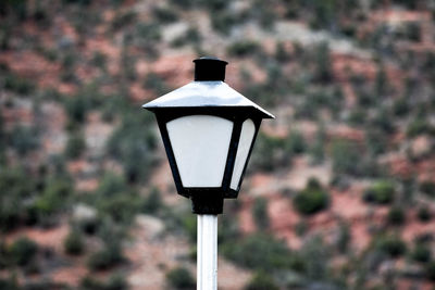 Close-up of lamp post