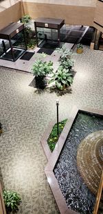 High angle view of potted plants on table in yard