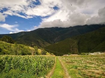 Scenic view of grassy field against cloudy sky