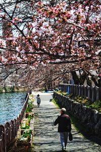 Full length rear view of man walking on bridge over water