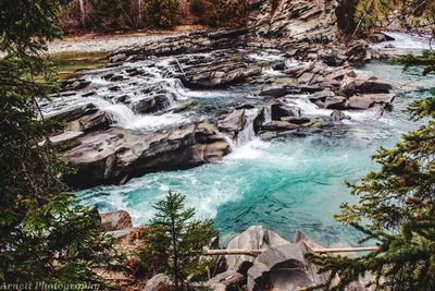 Scenic view of waterfall in forest