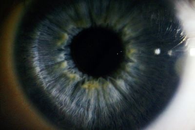 Close-up of human eye