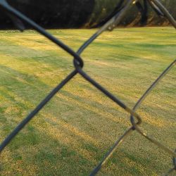 grass