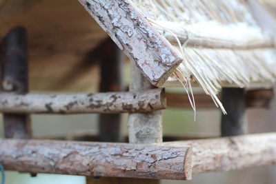 Close-up of rusty metal on wood