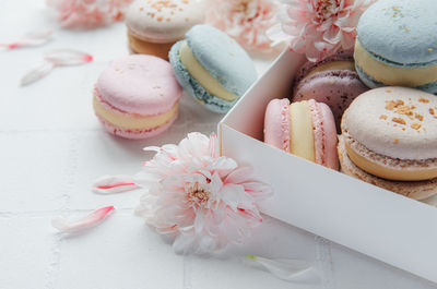Box with delicious colorful macaroons and chrysantemum flowers