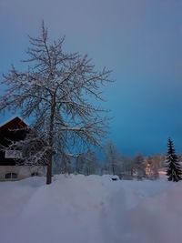 Bare trees on snow covered land against sky