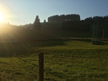 Scenic view of field against clear sky during sunset