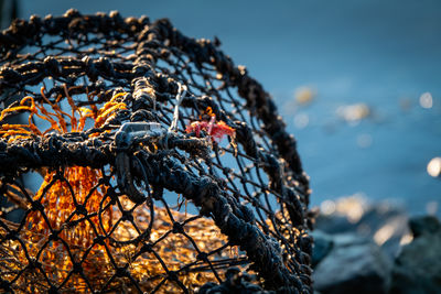 Close-up of cray pot with sea in background 