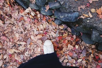 Low section of person with autumn leaves fallen on pebbles