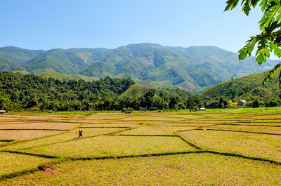 View of fields, mountains and blue sky in pua district, nan province, thailand.