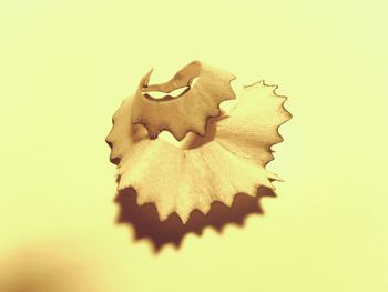 Close-up of art over white background