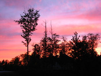 Low angle view of silhouette trees against sky at sunset