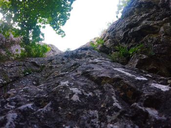 Scenic view of tree mountains against sky